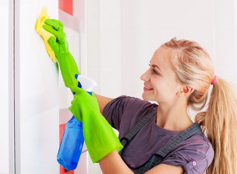Professional upholstery cleaning for a Camden living room sofa