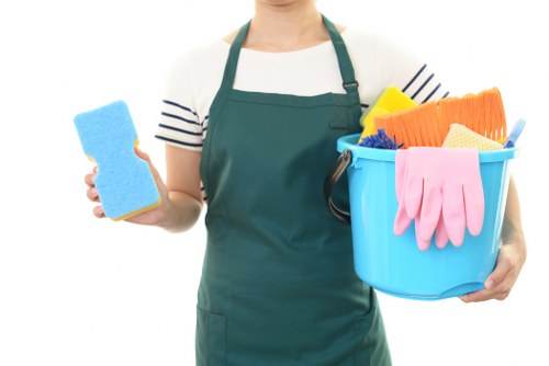 Window cleaning for Camden homes and period properties