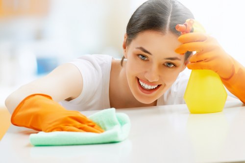 Deep oven cleaning service for a Camden kitchen