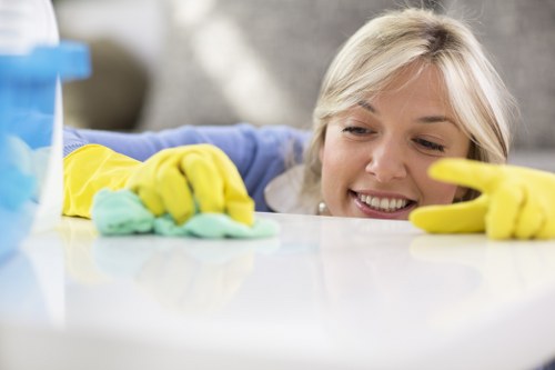 Local Camden technician treating pet odour on upholstery