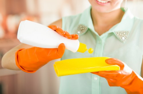 Thorough domestic cleaning detail work in Camden