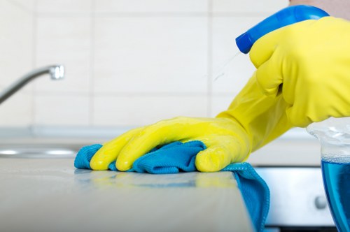 Professional oven cleaning in a Camden home with removable racks