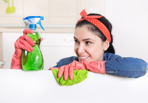 Odour removal service for a Camden home with pets