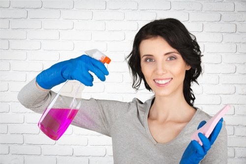 Stain removal and deep carpet care in a Camden property
