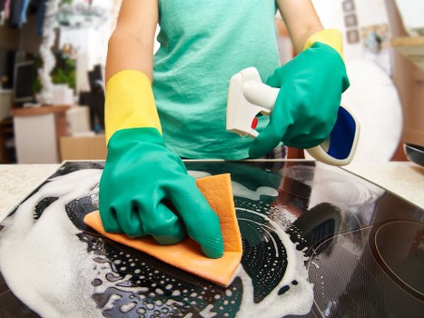 Spot treatment for pet accident stains in a Camden property